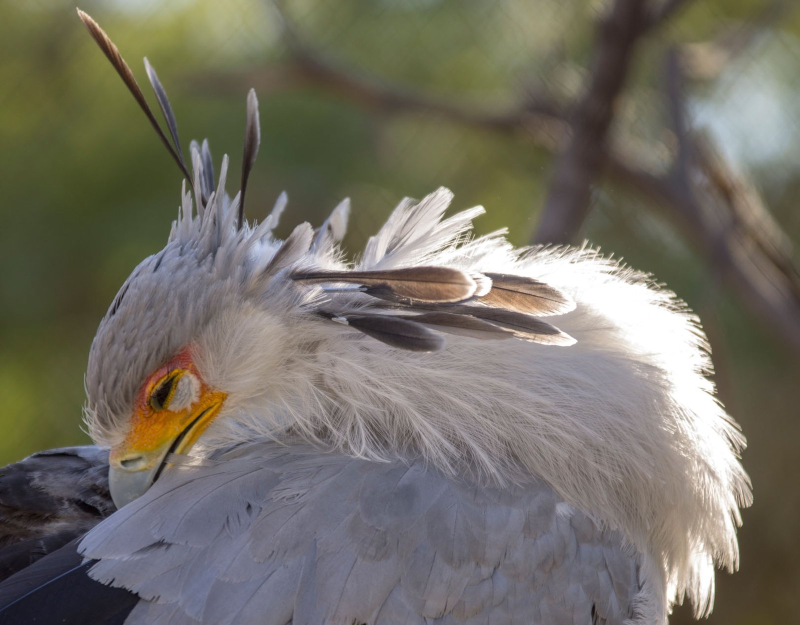 San Diego Zoo Part I 054